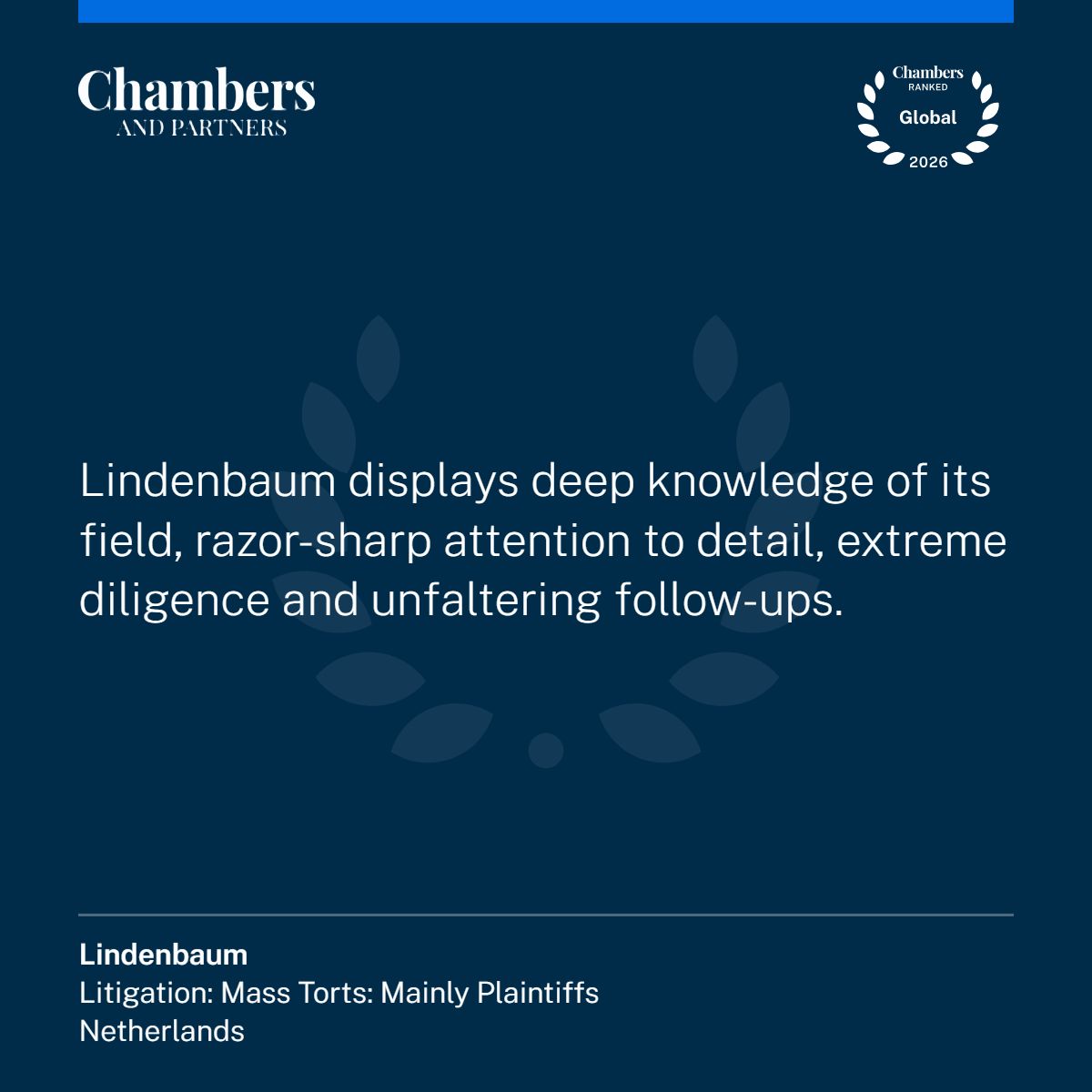 Lindenbaum displays deep knowledge of its field, razor-sharp attention to detail, extreme diligence and unfaltering follow-ups. 